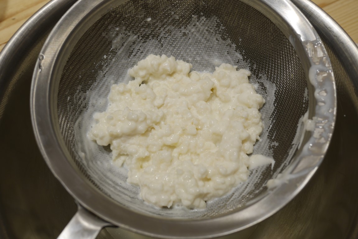 Kefir grains