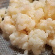 grains de kéfir