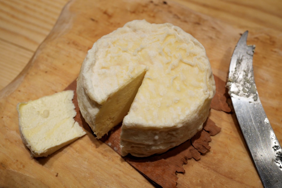 lactic cheeses after 14 days, tasted