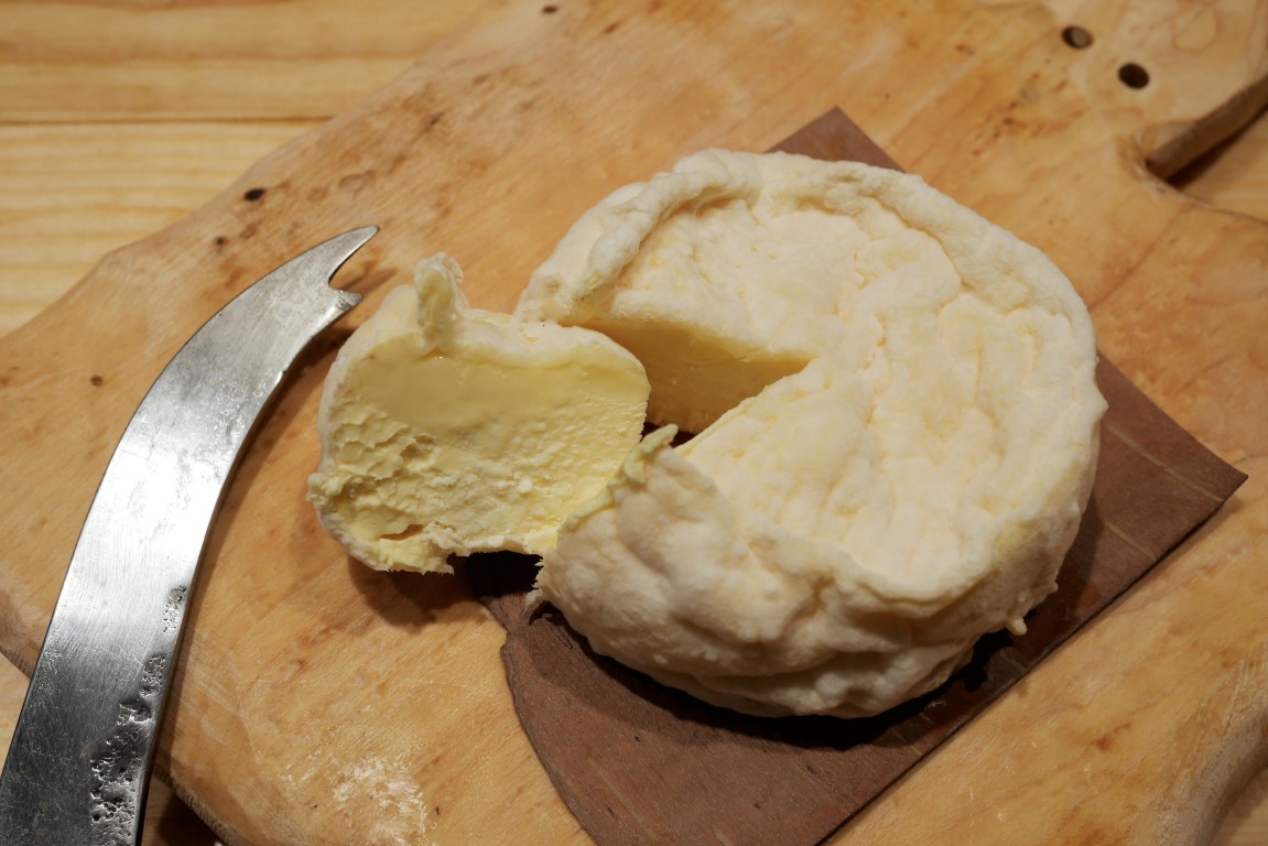 fromages après 35 jours