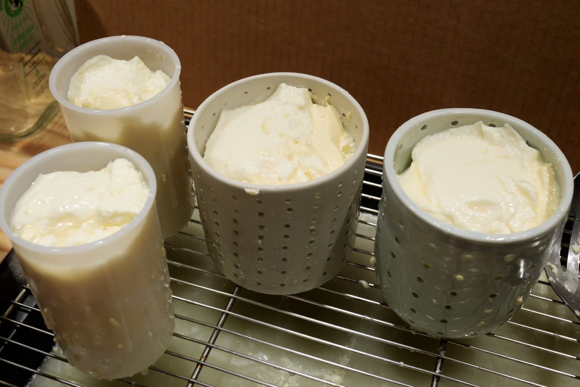 curd for lactic cheese, molding