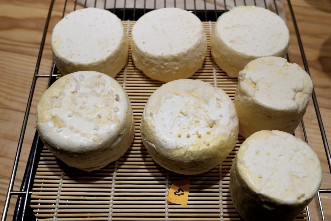 fromages lactiques prêts à aller dans la cave