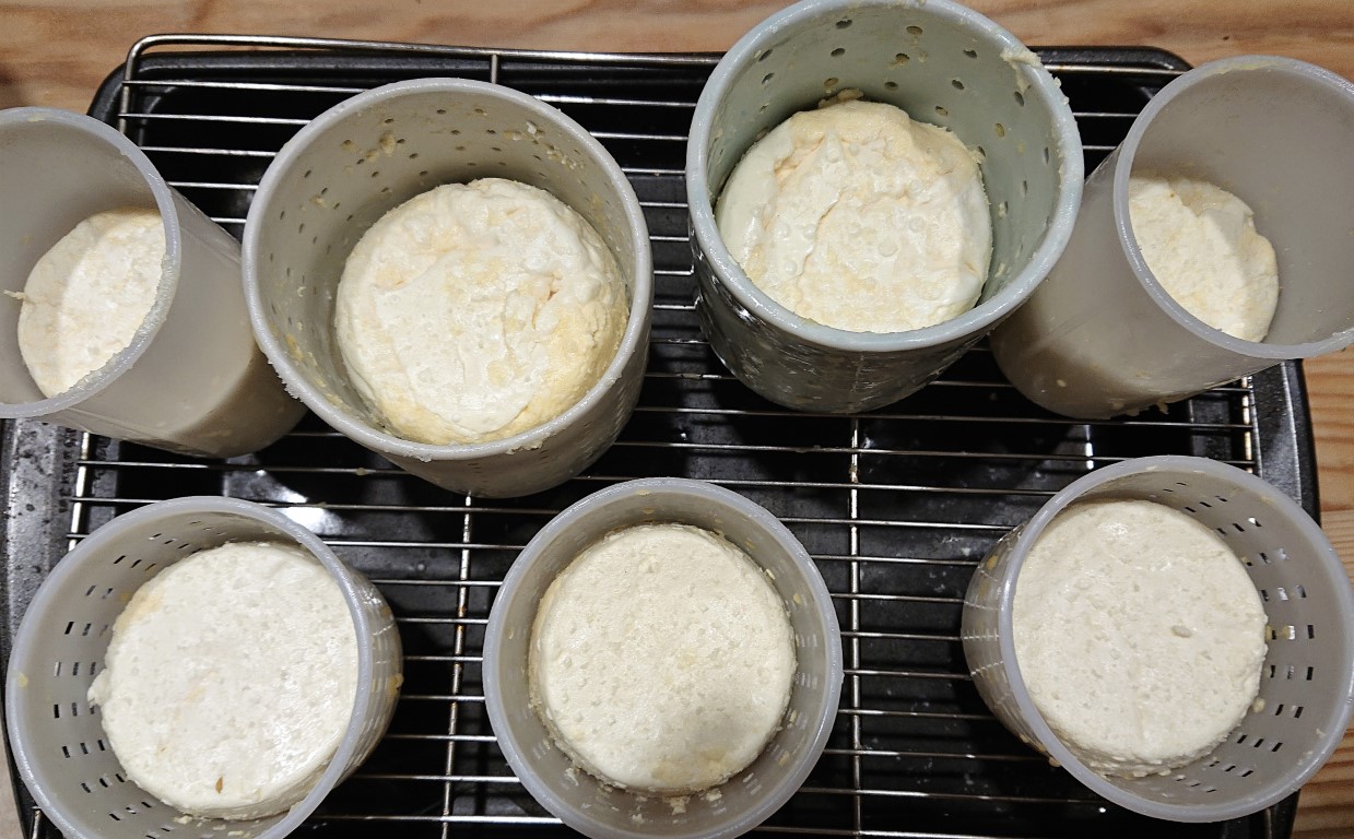 lactic cheeses after salting