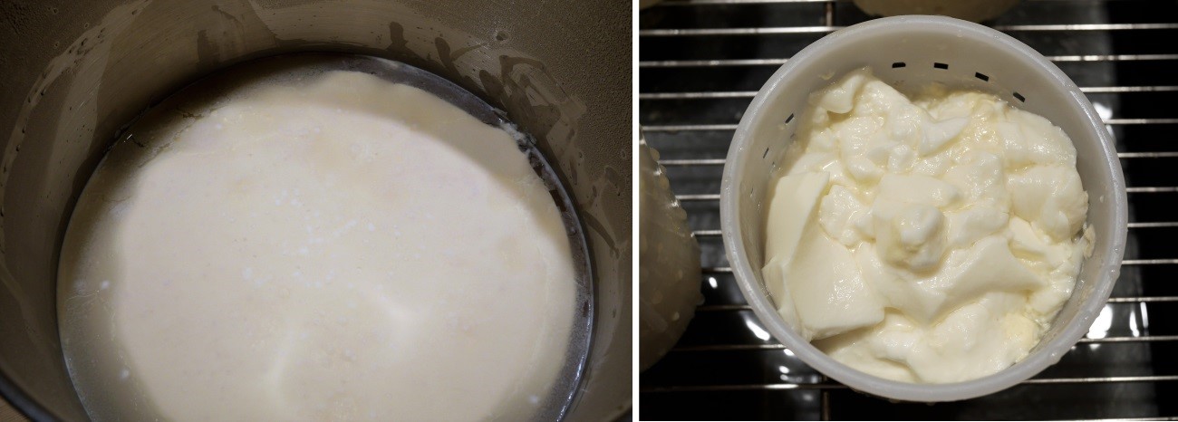 curd for lactic cheese, molding