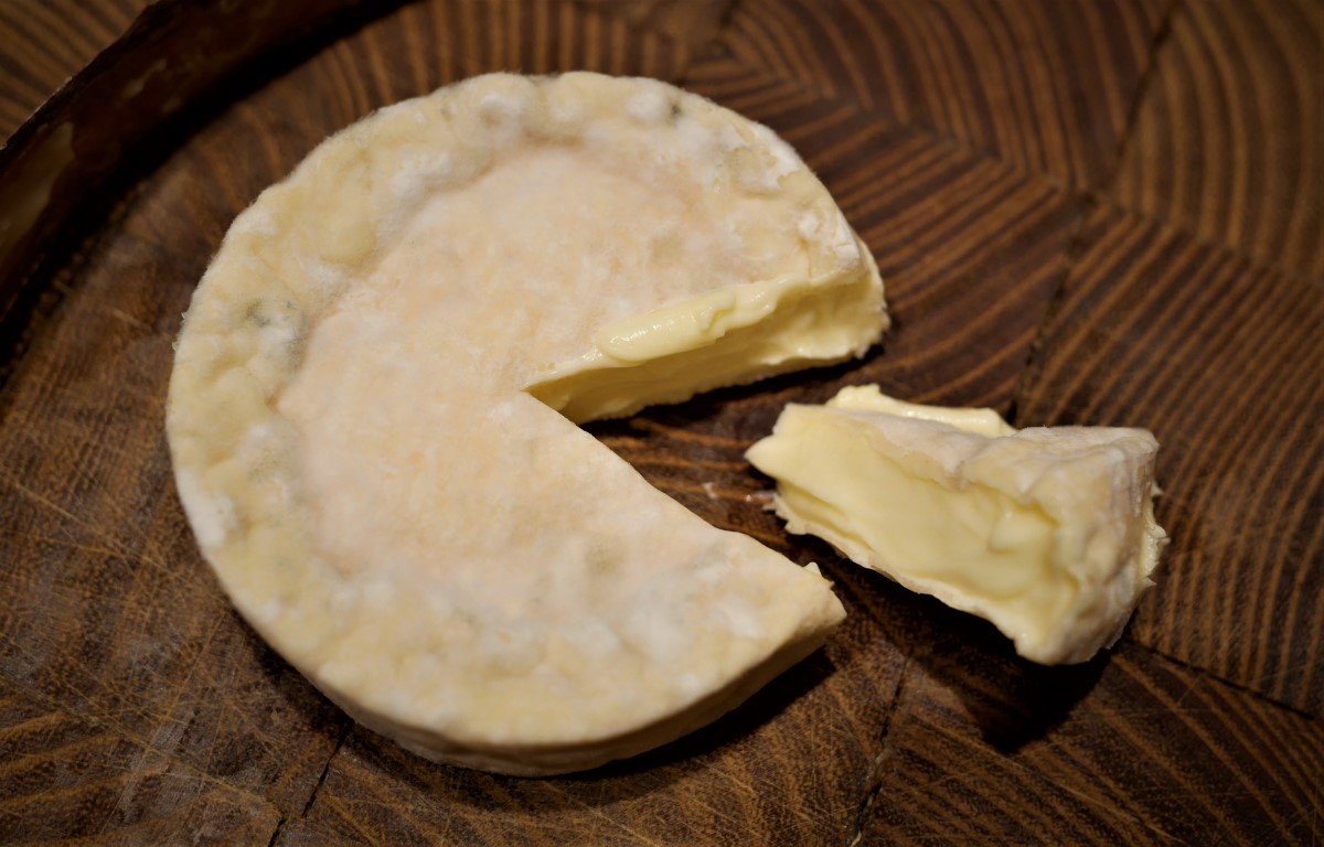 soft ripened cheese