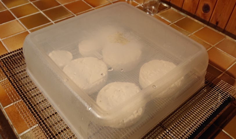 cheese ripening under a box