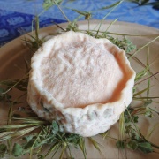 homemade chevre cheese