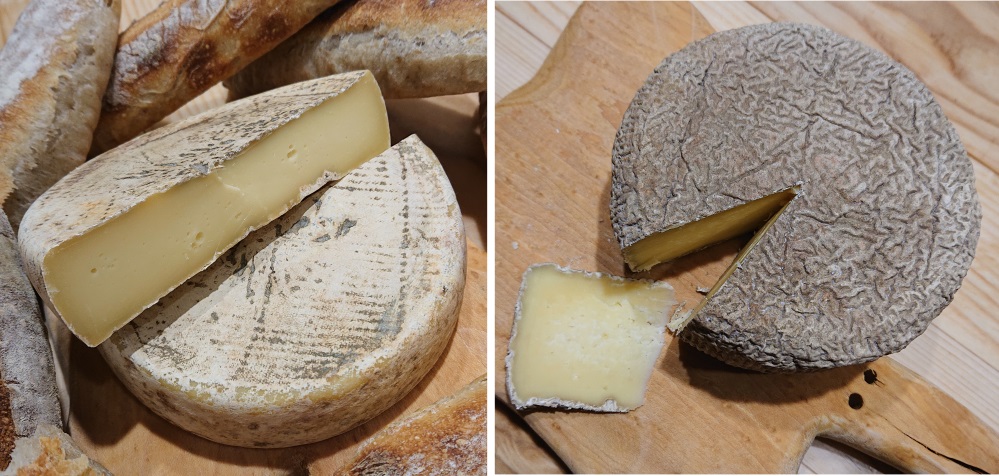 Présure 30ml + Ferment Fromage - Ingrédients pour faire du fromage à la  maison