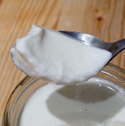 make yogurt at home